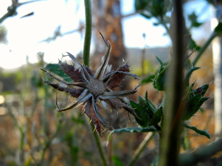 DSCN0621 - Version 2