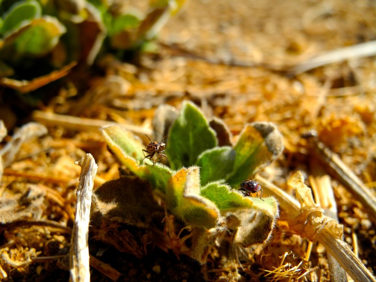 Getting A New Perspective