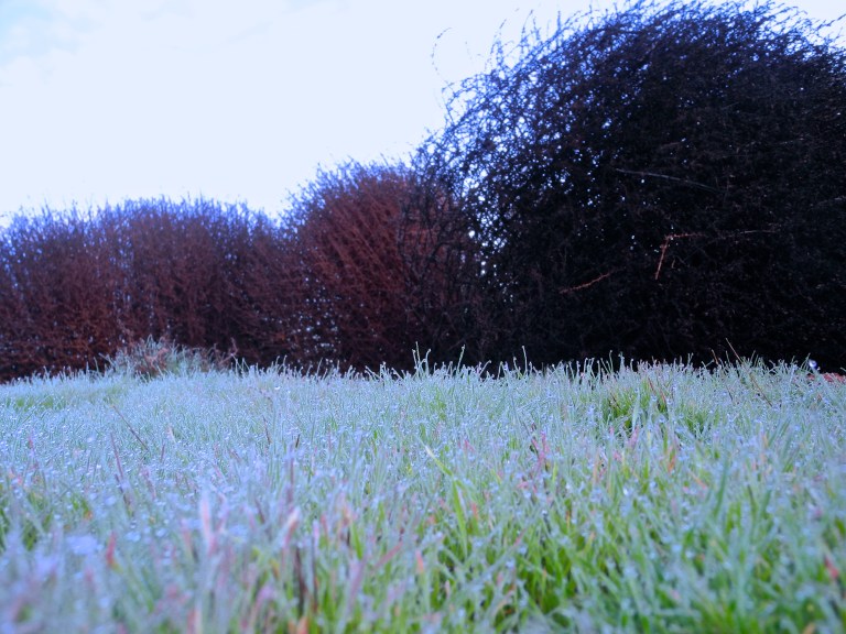 The Bad, Chased Away