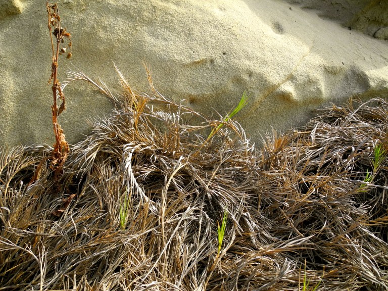 Caught in the Undertow