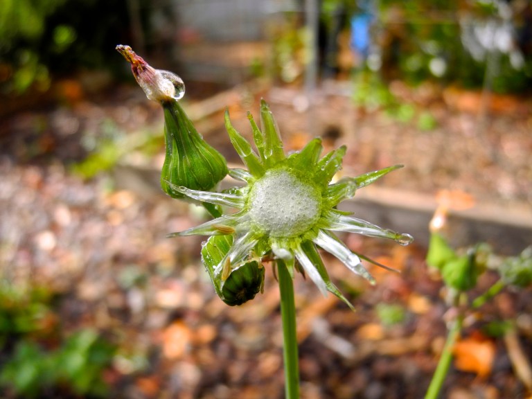 Accepting What Comes