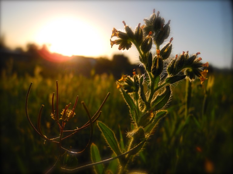 The Odd And Perfect Couple